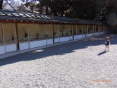 靖国神社で池坊緑葉式・家元と一門の献花が展示中です！