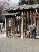 ようやく花見が出来ました。