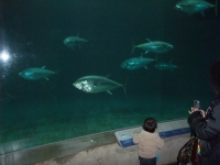 ようこそ葛西臨海水族園へ